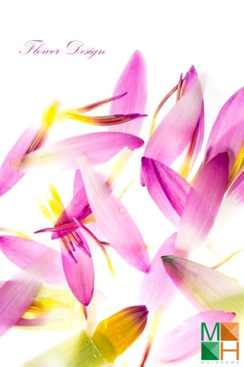 Tranh dán tường phòng ngủ đẹp tại Hà Nội FW - 035